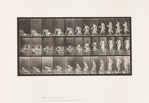 Levy 248. Istuminen maahan tekijältä Eadweard Muybridge