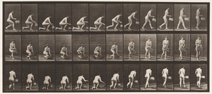 Levy 251. Polvistuminen vasemmalla polvilla, kori vasemmassa kädessä ja nousu, 1872-1885 tekijältä Eadweard Muybridge