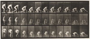 Levy 252. Polvistus oikealla polvella ja lattian hankaus, 1872-1885 tekijältä Eadweard Muybridge