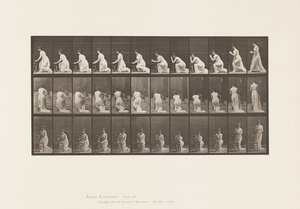 Lauta 253. Polvistuvat kyynärpäät tuolissa, kädet ristissä, 1885 tekijältä Eadweard Muybridge