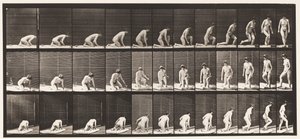 Levy 255. Syntyy polvistumisesta ja kääntymisestä tekijältä Eadweard Muybridge