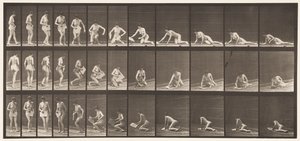 Levy 256. Makaa maassa ja lukemassa, 1872-1885 tekijältä Eadweard Muybridge