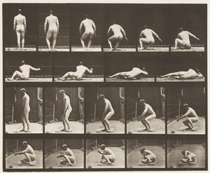 Levy 257. Makaa maassa, 1885 tekijältä Eadweard Muybridge