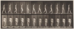Levy 25. Kävely, korkokengät jalassa tekijältä Eadweard Muybridge