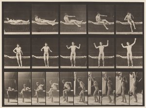 Levy 260. Nousu sohvasta ja venyttävästä käsivarresta, 1885 tekijältä Eadweard Muybridge