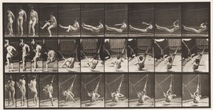 Levy 261. Pääsy riippumattoon, 1872-1885 tekijältä Eadweard Muybridge