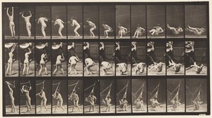 Levy 262. Riippumatosta poistuminen tekijältä Eadweard Muybridge