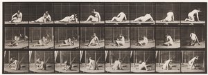 Levy 266. Kääntyminen ja asennon muuttaminen ollessaan edelleen maassa tekijältä Eadweard Muybridge