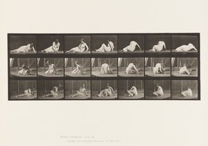 Kilpi 267. Kääntyminen ja asennon muuttaminen maassa, 1885 tekijältä Eadweard Muybridge