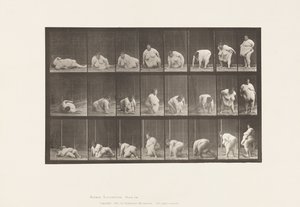 Levy 268. Nousu maasta, 1885 tekijältä Eadweard Muybridge