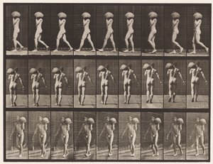 Levy 26. Kävely, 75 lb:n kiven kantaminen vasemmalla olkapäällä tekijältä Eadweard Muybridge