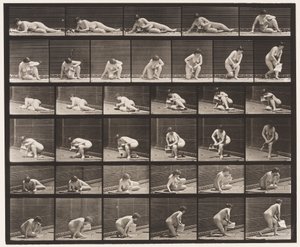 Levy 270. Maasta nouseva lehtinen vasemmassa kädessä tekijältä Eadweard Muybridge
