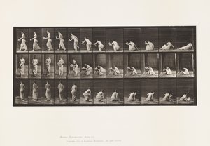 Levy 271. Nousemassa maasta paperi vasemmassa kädessä tekijältä Eadweard Muybridge