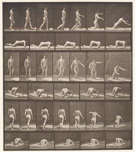 Levy 272. Kompastuminen ja kaatuminen maassa tekijältä Eadweard Muybridge