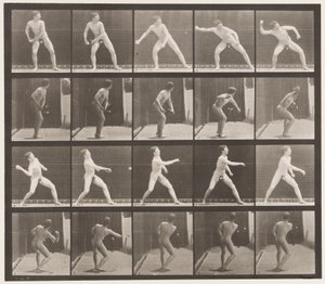 Lauta 273. Peruspallo; Pikeys tekijältä Eadweard Muybridge
