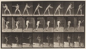 Lauta 277. Baseball; Lyöminen tekijältä Eadweard Muybridge