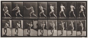 Lauta 278. Baseball; Lyöminen tekijältä Eadweard Muybridge