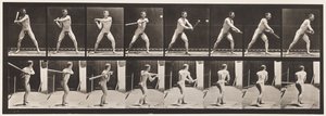 Lauta 279. Peruspallo; Batting, 1885 tekijältä Eadweard Muybridge