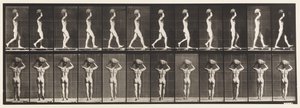 Levy 27. Kävely, 70 lb:n kivi kantaminen päässä, kädet kohotettuina tekijältä Eadweard Muybridge