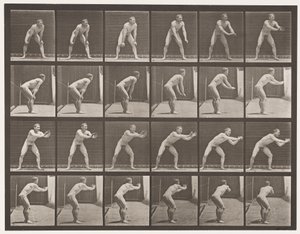 Lauta 280. Peruspallo; Kiinnitys, 1885 tekijältä Eadweard Muybridge