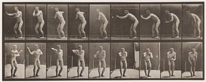 Lauta 281. Peruspallo; Sieppaus ja heittäminen tekijältä Eadweard Muybridge