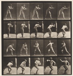 Lauta 282. Peruspallo; Sieppaus ja heittäminen, 1885 tekijältä Eadweard Muybridge