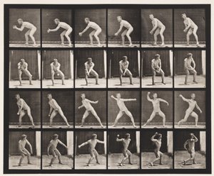 Lauta 283. Peruspallo; Sieppaus ja heittäminen, 1885 tekijältä Eadweard Muybridge