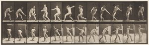 Lauta 284. Peruspallo; Sieppaus ja heittäminen, 1885 tekijältä Eadweard Muybridge
