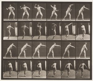 Lauta 286. Peruspallo; Heittää tekijältä Eadweard Muybridge
