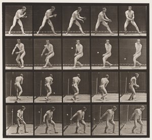 Lauta 288. Baseball; Virhe tekijältä Eadweard Muybridge