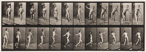 Lauta 289. Kriketti; Round Arm Bowling, 1885 tekijältä Eadweard Muybridge