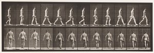 Levy 28. Kävely, 50 lb painoinen käsipaino oikeassa kädessä, 1872-1885 tekijältä Eadweard Muybridge