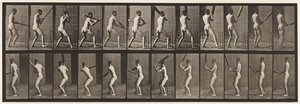 Lauta 292. Kriketti; Lyöminen; Takaisin ulos, 1885 tekijältä Eadweard Muybridge
