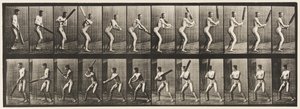 Lauta 293. Kriketti; Lyöminen; Selkäleikkaus, 1885 tekijältä Eadweard Muybridge