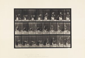 Lauta 295. Nurmikon tennis; Tarjoilu tekijältä Eadweard Muybridge