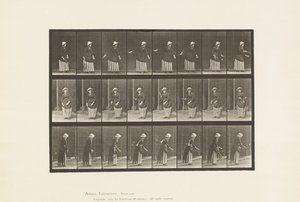 Lauta 296. Nurmikkotennis tekijältä Eadweard Muybridge