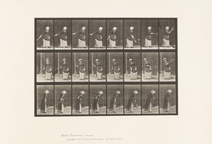 Lauta 297. Nurmikon tennis tekijältä Eadweard Muybridge