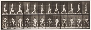 Levy 29. Kävely, vesiämpäri kantoi kummassakin kädessä, 1872-1885 tekijältä Eadweard Muybridge