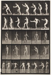 Lauta 300. Jalkapallo; pudotuspotku, 1885 tekijältä Eadweard Muybridge