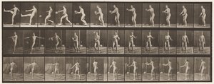 Lauta 301. Jalkapallo; Punt, 1885 tekijältä Eadweard Muybridge