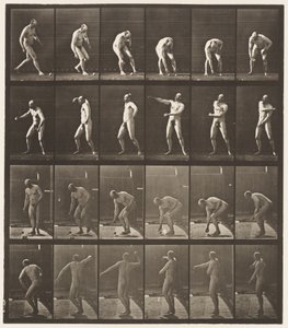 Lauta 302. Pallon poimiminen ja sen heittäminen, 1885 tekijältä Eadweard Muybridge