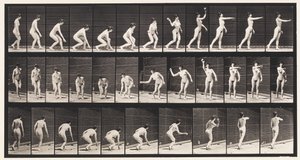 Levy 303. Pallon poimiminen ja sen heittäminen, 1872-1885 tekijältä Eadweard Muybridge