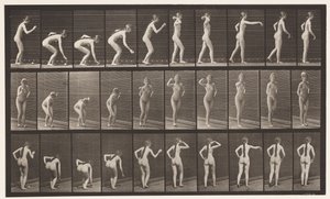 Lauta 304. Pallon poimiminen ja heittäminen tekijältä Eadweard Muybridge