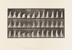 Lauta 306. Pallon poimiminen ja sen heittäminen, 1885 tekijältä Eadweard Muybridge