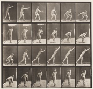 Levy 307. Rautakiekon heittäminen, 1872-1885 tekijältä Eadweard Muybridge