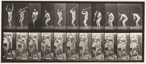 Lauta 308. Vasaranheitto, 1885 tekijältä Eadweard Muybridge