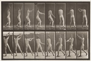 Lauta 309. Vasaren heitto tekijältä Eadweard Muybridge