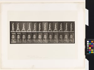 Lauta 30. Kävely, vesiämpäri kantoi kummassakin kädessä tekijältä Eadweard Muybridge