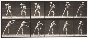 Levy 311. 75-lb:n kallion nostaminen, 1885 tekijältä Eadweard Muybridge
