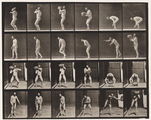 Levy 312. Healing 75-lb rock tekijältä Eadweard Muybridge